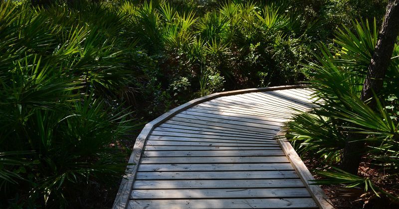  Apalachicola National Estuarine Research Reserve Visitor Center - boardwalk to view St. George Sound